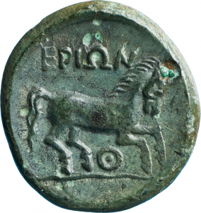 SNG KIKPE I 0650 Thelpusa