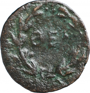 SNG KIKPE I 0651 Thelpusa