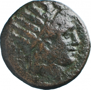 SNG KIKPE I 0651 Thelpusa