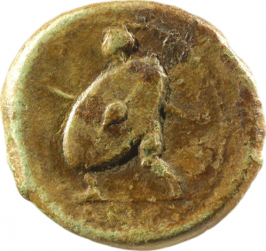 SNG KIKPE I 0048 Ariminum