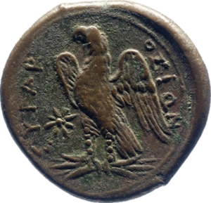SNG KIKPE I 0242 Syracuse